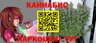 spice Дубна