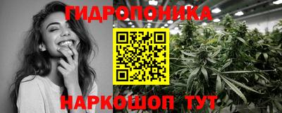 spice Дубна