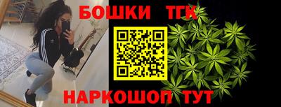 spice Дубна