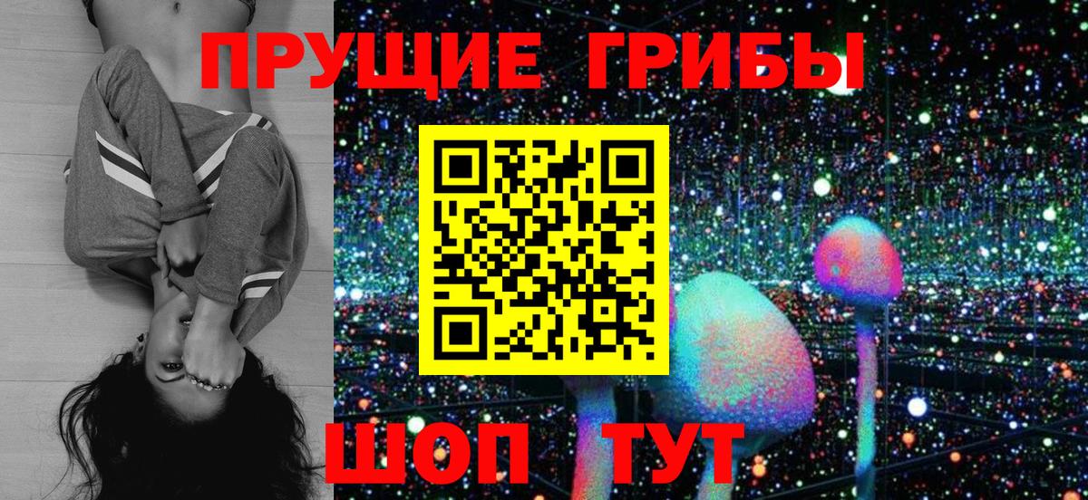 Галлюциногенные грибы MAGIC MUSHROOMS  Псилоцибиновые грибы Magic Shrooms  Вход с VPN  продажа наркотиков  Михайловск 